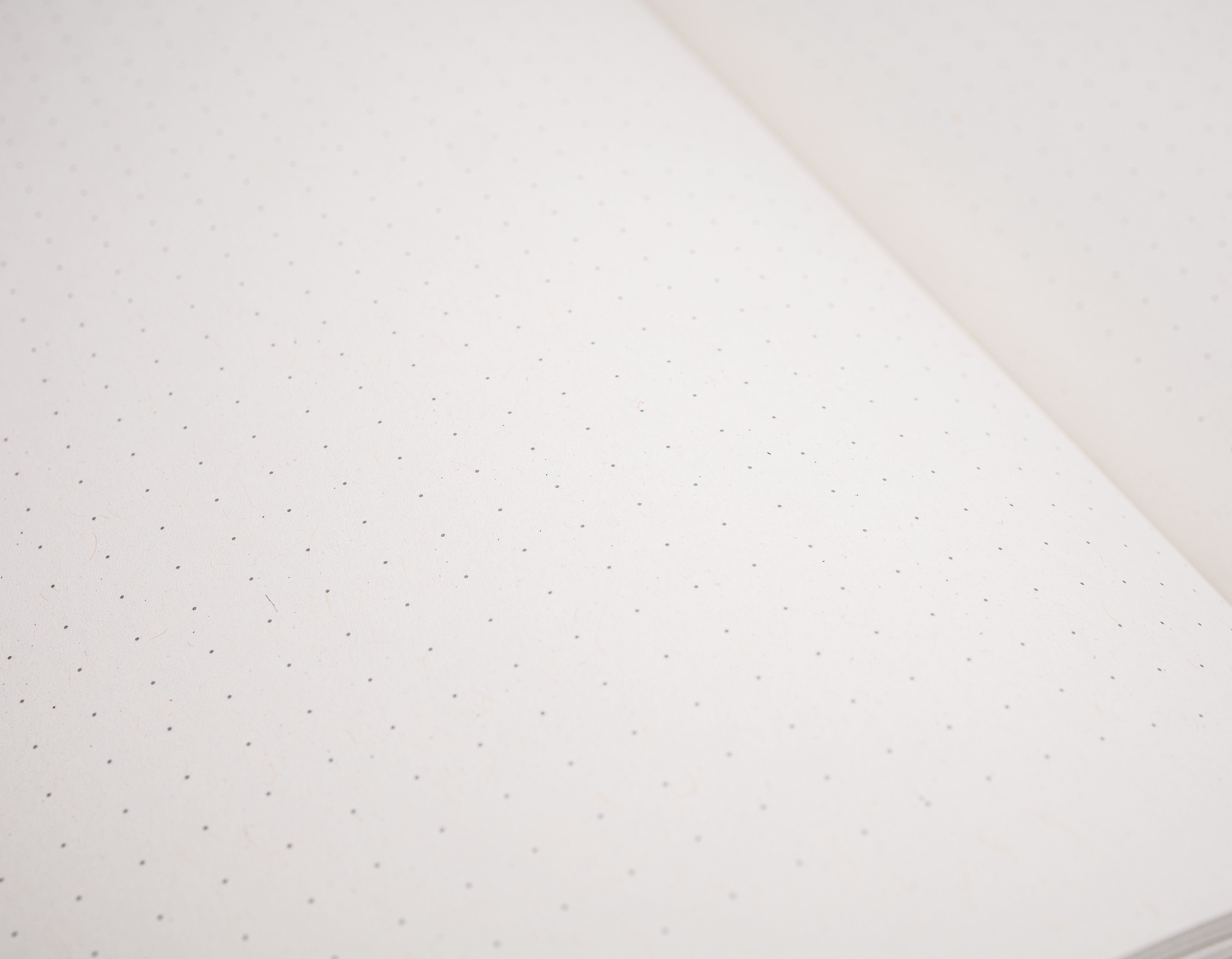 Gepunktete Dotted Innenseiten eines Notizbuchs für Bullet Journal und strukturierte Notizen